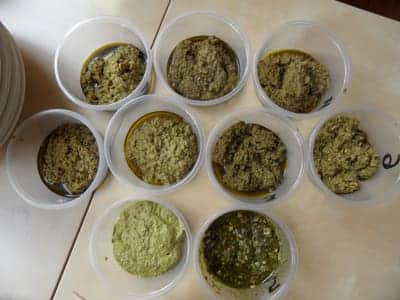 Pesto