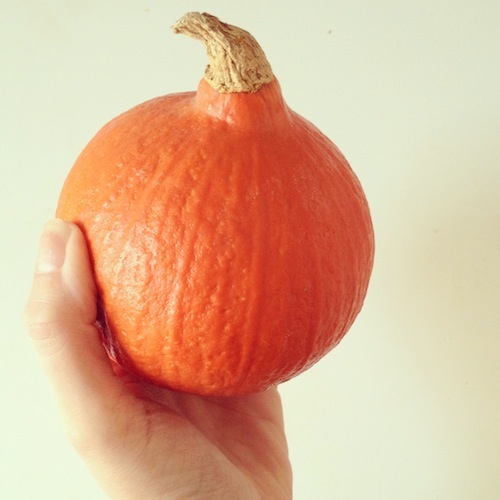 Kijk nou wat een lief, klein pompoentje! Perfect voor een tweepersoonsmaaltje.