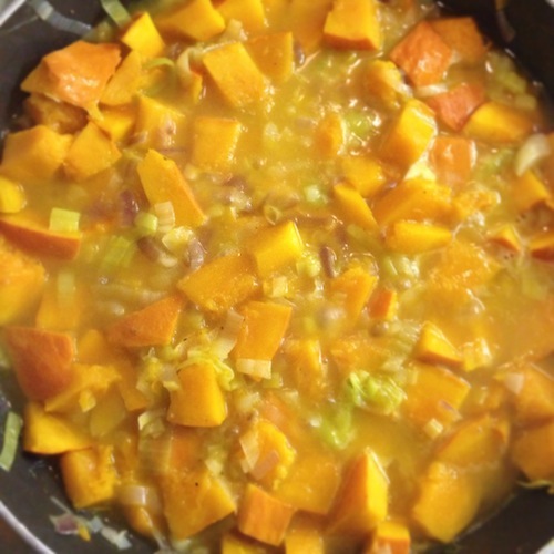 Ui, prei, knoflook, pompoen en wat water. Pruttelen maar!