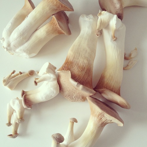 Lauwwarme noedelsalade