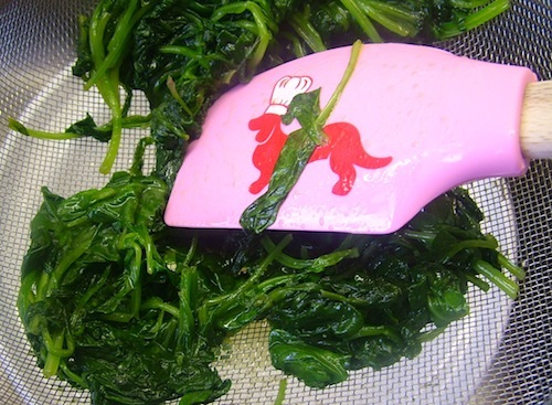 Cannelloni spinazie ricotta