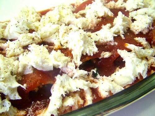 Cannelloni spinazie ricotta