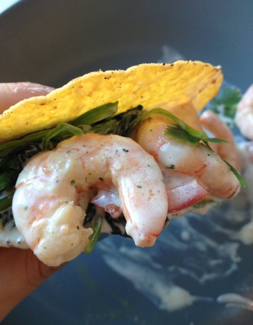 Taco's met garnalen
