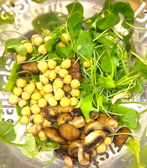 Stamppot met postelein