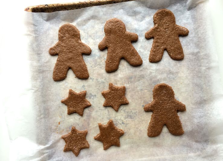GINGERBREAD KOEKJES KERST