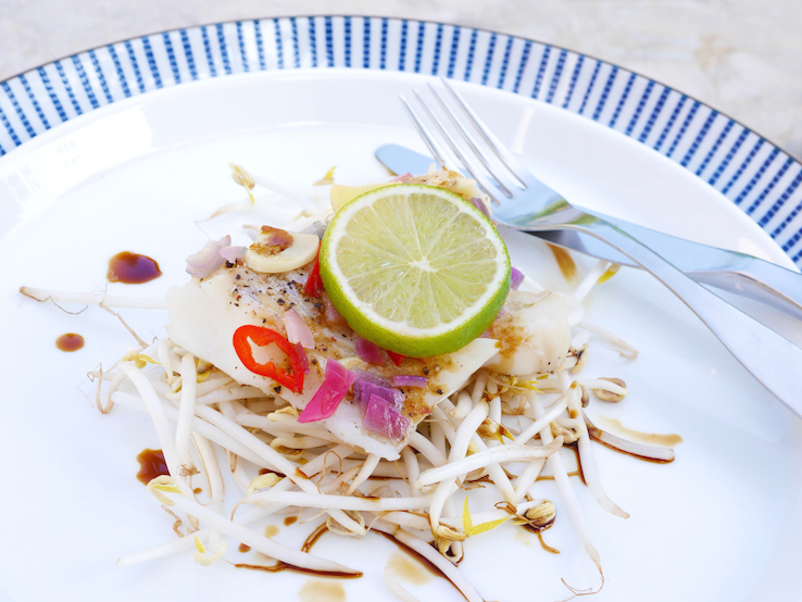 AZIATISCHE GESTOOMDE VIS2