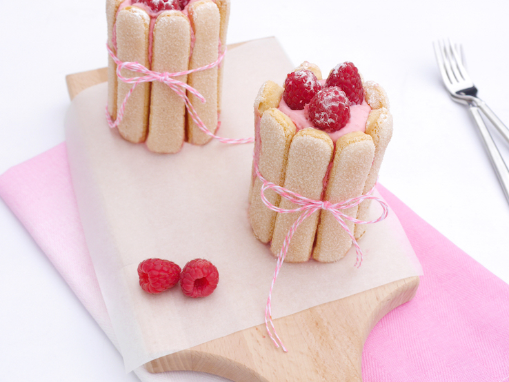 CHARLOTTE RUSSE MINI TAARTJES