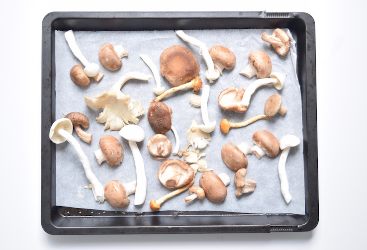 Paddenstoelen in de oven