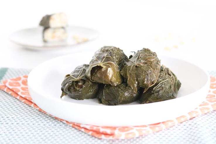 dolmas-rijst-wijnblad-chickslovefood