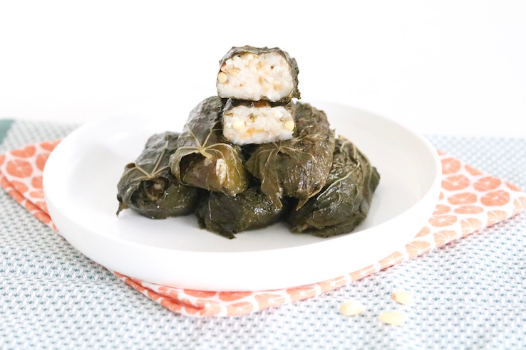 dolmas-zelf-maken-chicksloveood