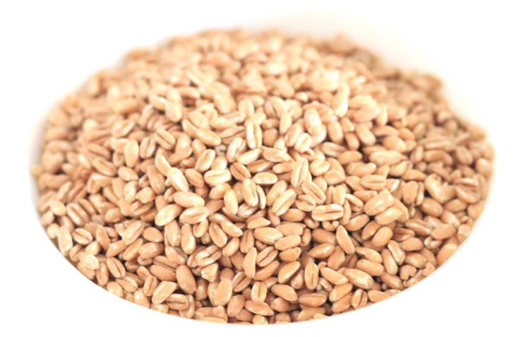 spelt in bakje - Chickslovefood.com