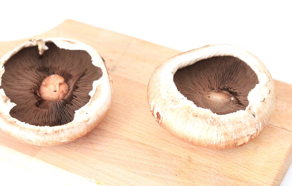 portobello's CHICKSLOVEFOOD