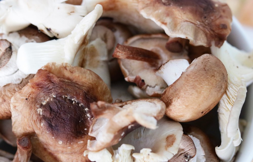 CHAMPIGNONS MIX - CHICKSLOVEFOOD