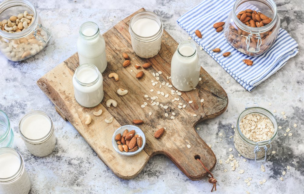 plantaardige melk zelf maken