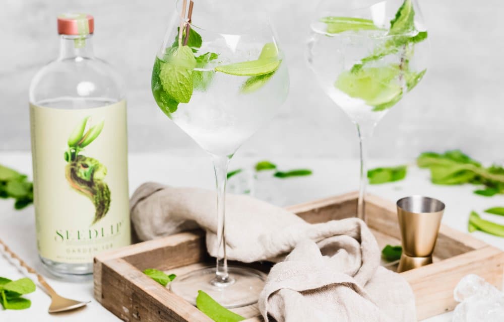 10x alcoholvrije drankjes