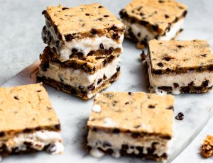 Chocolate chip ice cream sandwich
