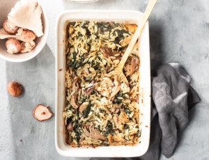 Orzo met paddenstoelen