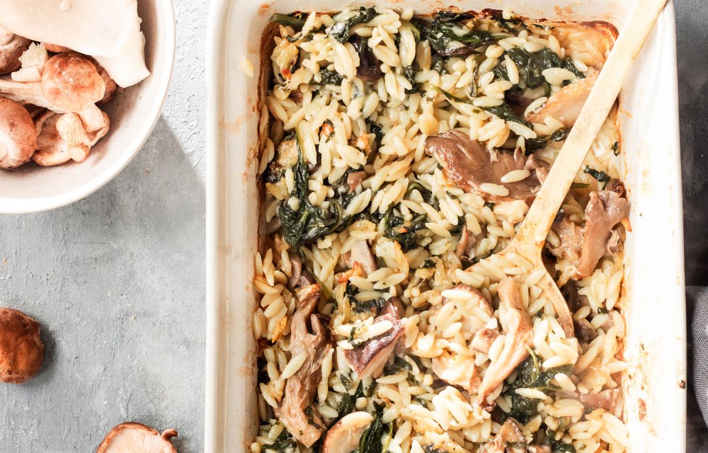 Orzo met paddenstoelen